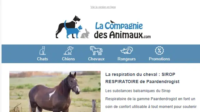 Newsletter de La compagnie des animaux : A LA UNE : La respiration du cheval / Protégez-le du froid / Gérer sa toux