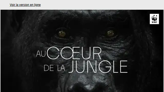 Newsletter de WWF : Au Cœur de la Jungle désormais disponible sur Youtube !