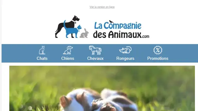 Newsletter de La compagnie des animaux : Renforcez le système immunitaire de votre rongeur ! 🐹