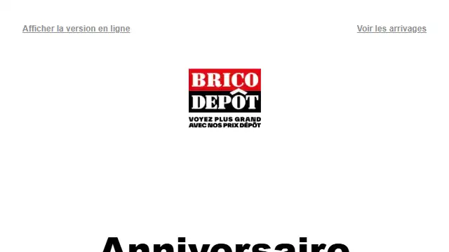 Newsletter de Bricodépôt : Ces ARRIVAGES sont toujours en stock… pour le moment ! Profitez-en vite !