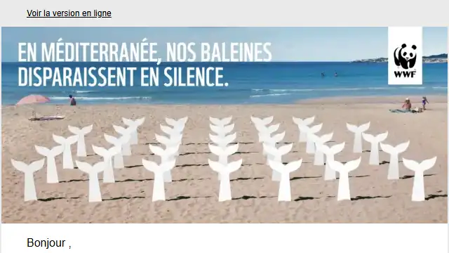 Newsletter de WWF : Les baleines en Méditerranée ont besoin de vous pour être sauvées.