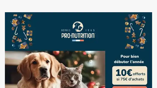 Newsletter de Pro Nutrition : Commencez 2024 avec une surprise 🎁⭐