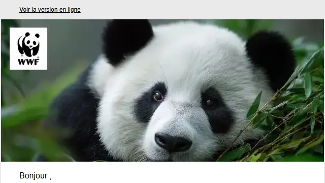Newsletter de WWF : Merci pour votre engagement 🌍