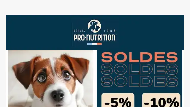 Newsletter de Pro Nutrition : 💥 SOLDES 💥 C&rsquo;est parti !