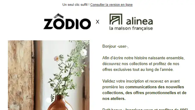 Newsletter de Zodio : ✨ L&rsquo;aventure continue avec alinea !