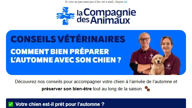 Newsletter de La compagnie des animaux : Nos conseils pour l&rsquo;automne 🍂