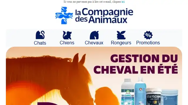 Newsletter de La compagnie des animaux : Comment gérer son cheval l&rsquo;été ?