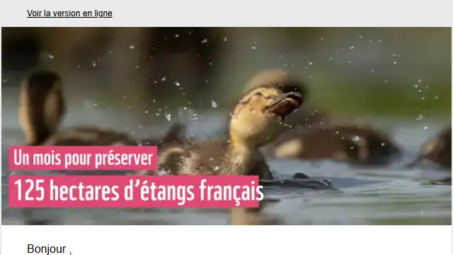 Newsletter de WWF : Flamingo- J-24 pour préserver 150 hectars d&rsquo;étangs français