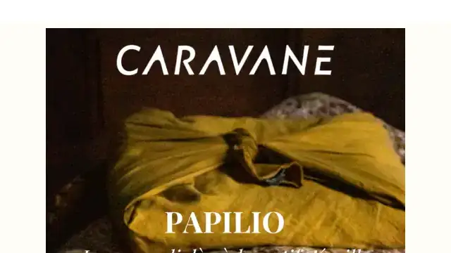 Newsletter de Caravane : Papilio, un motif iconique