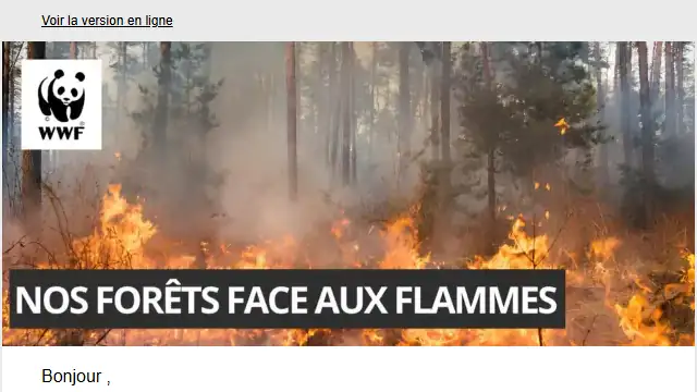 Newsletter de WWF : Nos forêts brûlent. L’urgence ne peut plus être ignorée