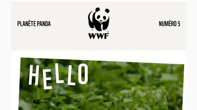 Newsletter de WWF : La nouvelle édition de Planète Panda est là !