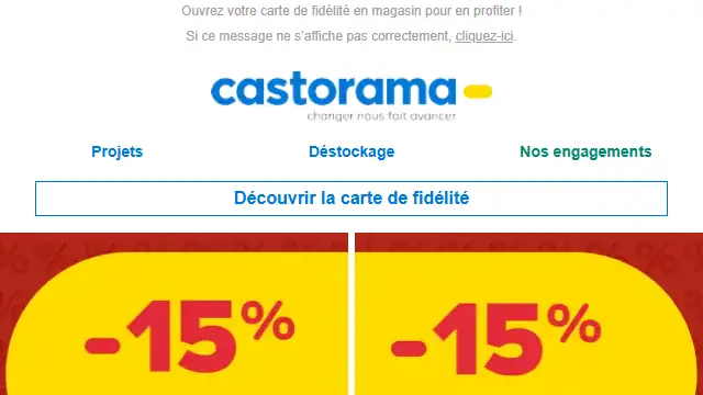 Newsletter de Castorama : EXCLU CARTE : -15% sur une large sélection de produits