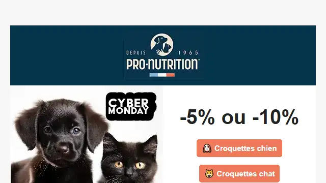 Newsletter de Pro Nutrition : CYBER MONDAY 🖤 Jusqu&rsquo;à -10% !