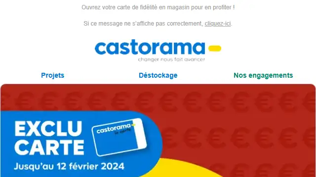 Newsletter de Castorama : Dès demain 10€ offerts tous les 100€ d’achats en carte cadeau !